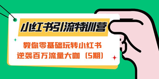 小红书引流特训营-第5期：教你零基础玩转小红书，逆袭百万流量大咖-星辰源码网