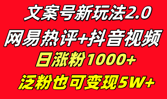 文案号新玩法 网易热评+抖音文案 一天涨粉1000+ 多种变现模式 泛粉也可变现-星辰源码网