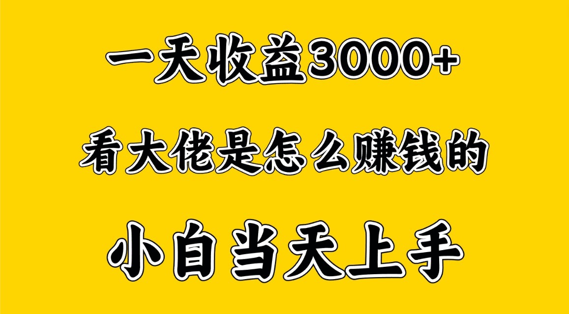 一天赚3000多，大佬是这样赚到钱的，小白当天上手，穷人翻身项目-星辰源码网