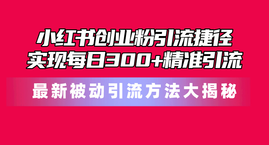 （10692期）小红书创业粉引流捷径！最新被动引流方法大揭秘，实现每日300+精准引流-星辰源码网