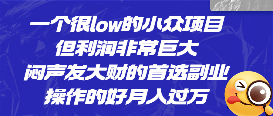 一个很low的小众项目，但利润非常巨大，闷声发大财的首选副业，月入过万-星辰源码网