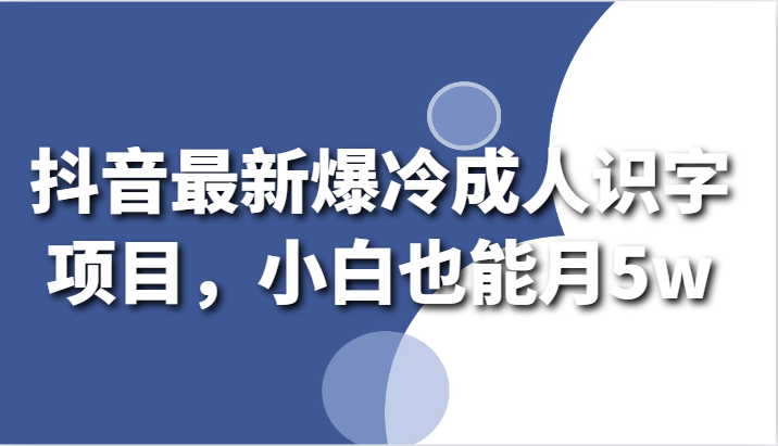 抖音最新爆冷成人识字项目，小白也能月5w-星辰源码网