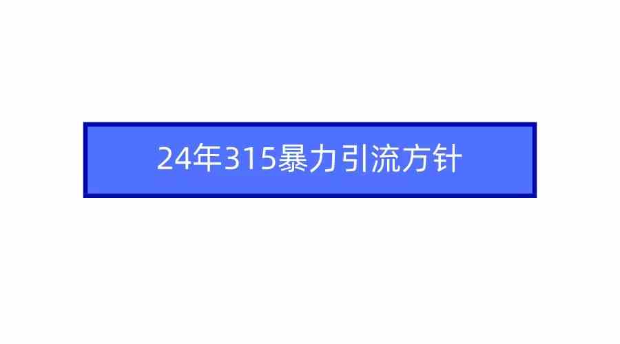 （9398期）2024年315暴力引流方针-星辰源码网