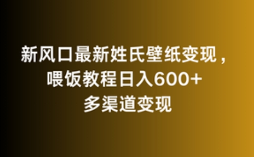 新风口最新姓氏壁纸变现，喂饭教程日入600+-星辰源码网