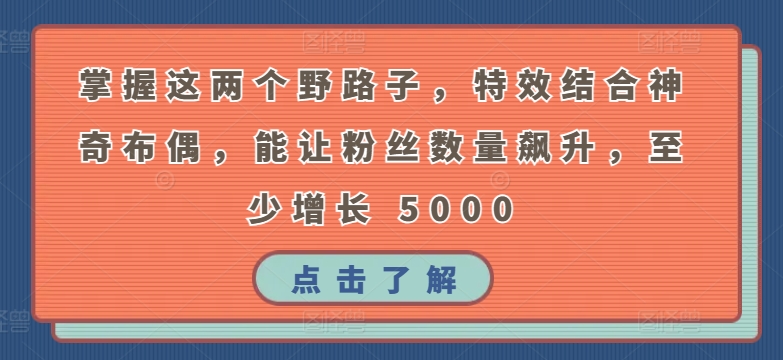 掌握这两个野路子，特效结合神奇布偶，能让粉丝数量飙升，至少增长 5000-星辰源码网