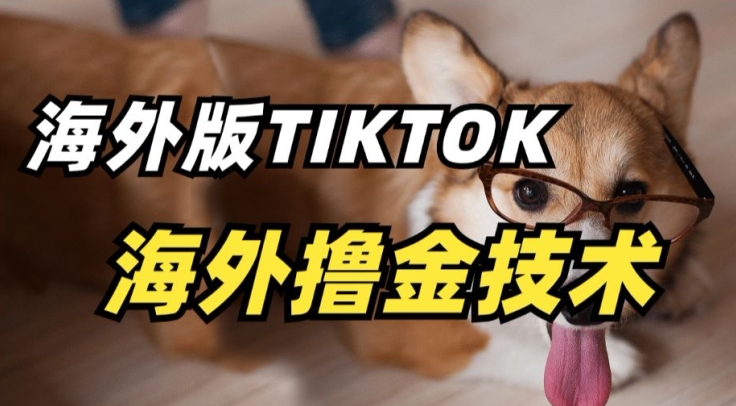 抖音海外版tiktok撸金技术，这个风口行业，赚钱真的不难-星辰源码网