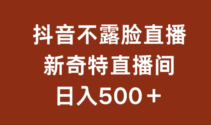 不露脸挂机直播，新奇特直播间，日入500+-星辰源码网