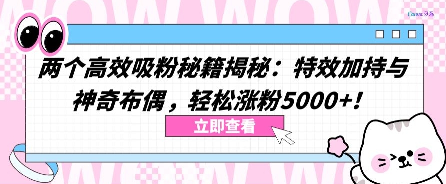 两个高效吸粉秘籍揭秘：特效加持与神奇布偶，轻松涨粉5000+-星辰源码网