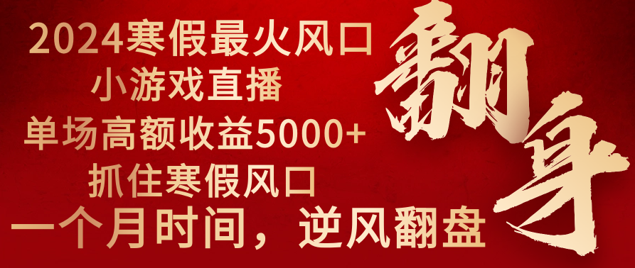 2024年最火寒假风口项目 小游戏直播 单场收益5000+抓住风口 一个月直接提车-星辰源码网