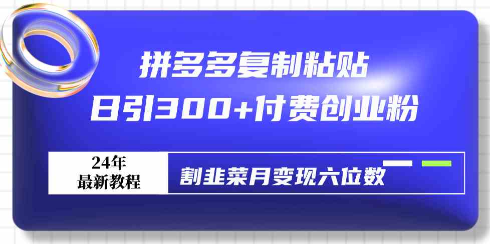 （9129期）拼多多复制粘贴日引300+付费创业粉，割韭菜月变现六位数最新教程！-星辰源码网