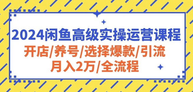 2024闲鱼高级实操运营课程：开店/养号/选择爆款/引流/月入2万/全流程-星辰源码网