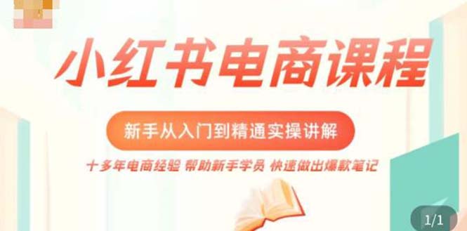 小红书电商新手入门到精通实操课，从入门到精通做爆款笔记，开店运营-星辰源码网