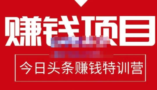 懒人领域·今日头条项目玩法，头条中视频项目，单号收益在50—500可批量￼-星辰源码网