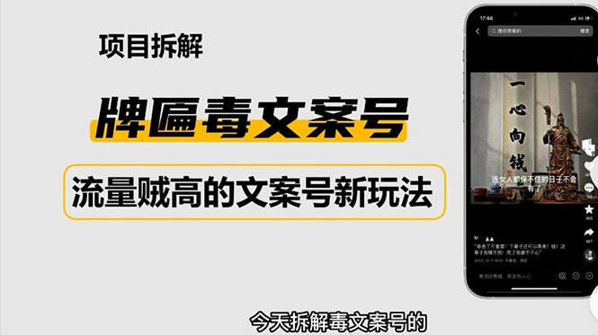 2023抖音快手毒文案新玩法，牌匾文案号，起号快易变现-星辰源码网