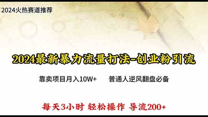 （10151期）2024年最新暴力流量打法，每日导入300+，靠卖项目月入10W+-星辰源码网