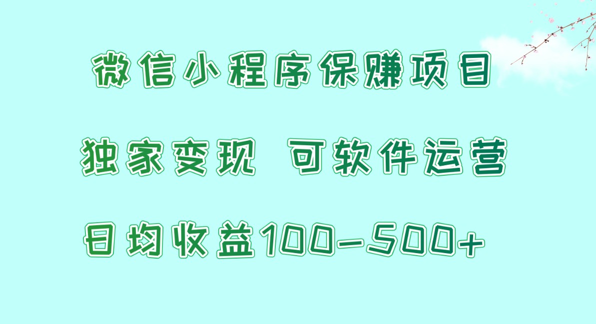 微信小程序保赚项目，日均收益100~500+，独家变现，可软件运营-星辰源码网