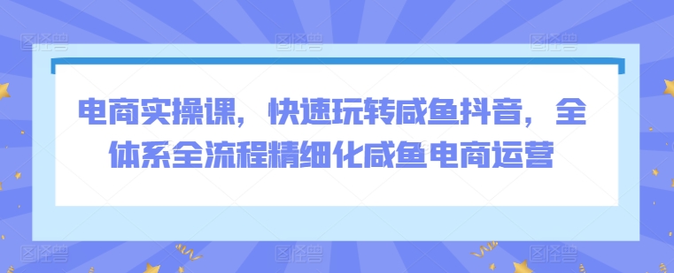 电商实操课，快速玩转咸鱼抖音，全体系全流程精细化咸鱼电商运营-星辰源码网