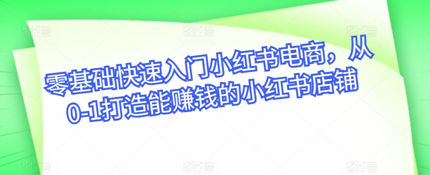 零基础快速入门小红书电商，从0-1打造能赚钱的小红书店铺-星辰源码网