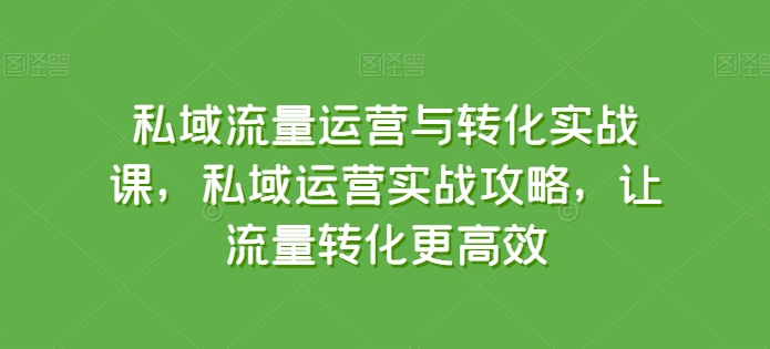 私域流量运营与转化实战课，私域运营实战攻略，让流量转化更高效-星辰源码网