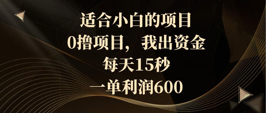 适合小白的项目，0撸项目，我出资金，每天15秒，一单利润600-星辰源码网