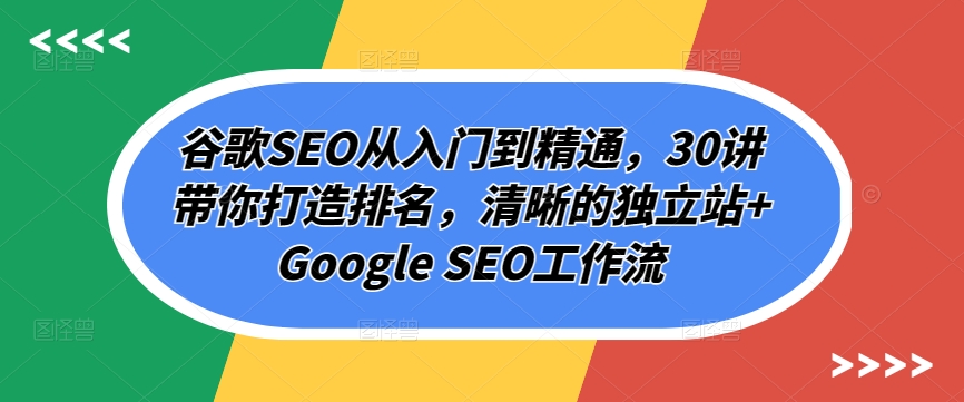 谷歌SEO从入门到精通，30讲带你打造排名，清晰的独立站+Google SEO工作流-星辰源码网