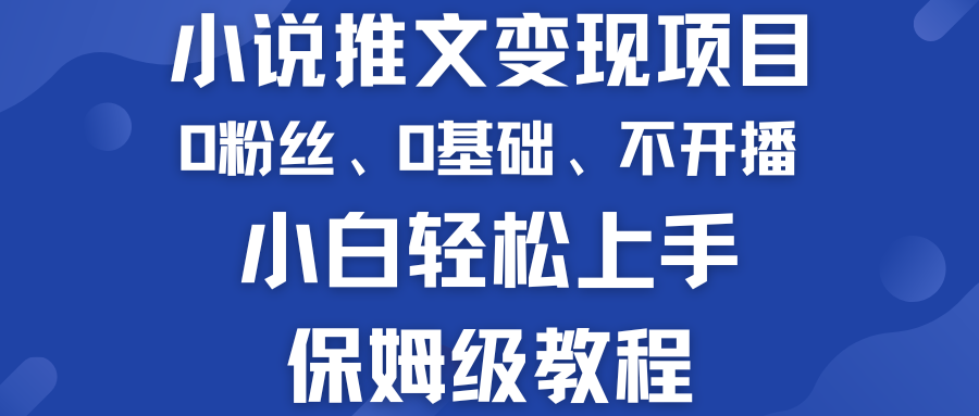 小说推文变现项目 0基础 不开播 小白轻松上手 保姆级教程-星辰源码网