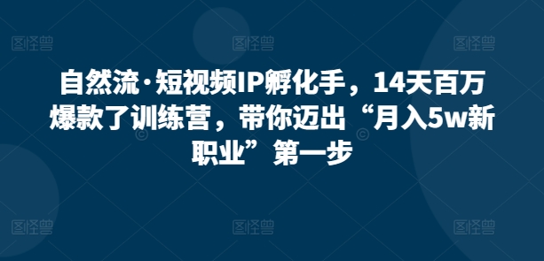 自然流·短视频IP孵化手，14天百万爆款了训练营，带你迈出“月入5w新职业”第一步-星辰源码网