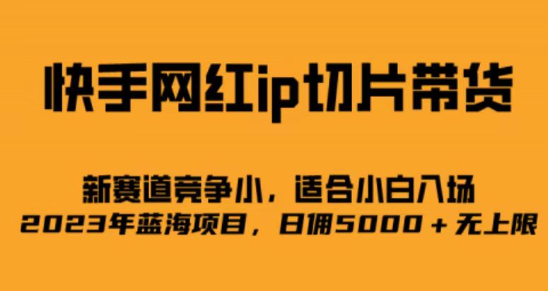 快手网红ip切片新赛道，竞争小事，适合小白 2023蓝海项目-星辰源码网