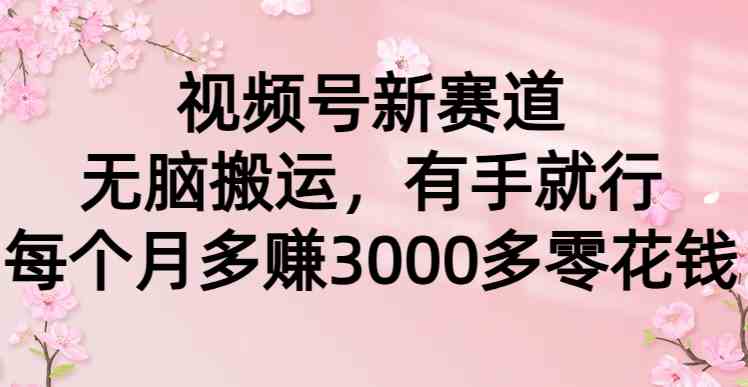 （9277期）视频号新赛道，无脑搬运，有手就行，每个月多赚3000多零花钱-星辰源码网