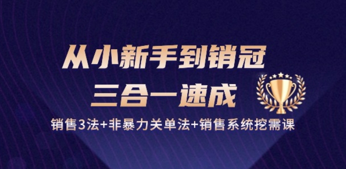 从小新手到销冠 三合一速成：销售3法+非暴力关单法+销售系统挖需课 (27节)-星辰源码网