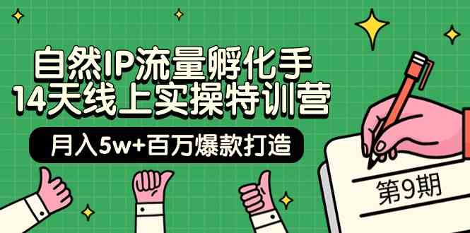 自然IP流量孵化手14天线上实操特训营【第9期】月入5w+百万爆款打造 (74节)-星辰源码网