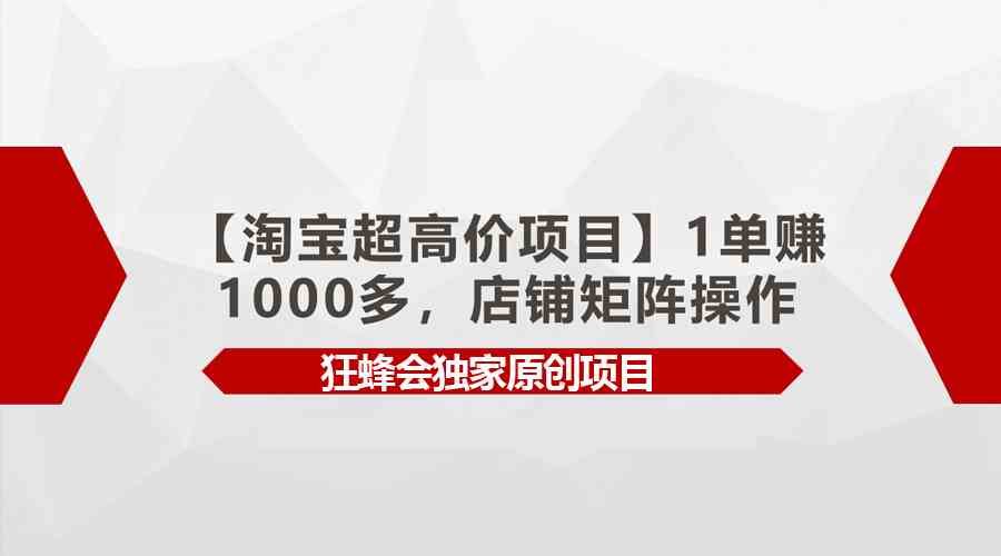 （9849期）【淘宝超高价项目】1单赚1000多，店铺矩阵操作-星辰源码网