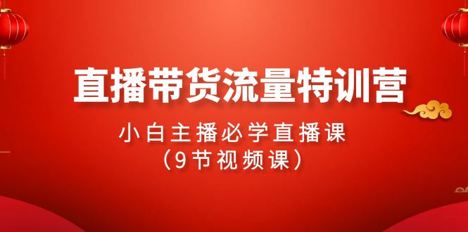 2024直播带货流量特训营，小白主播必学直播课（9节视频课）-星辰源码网