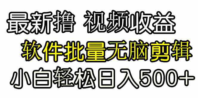 （9569期）发视频撸收益，软件无脑批量剪辑，第一天发第二天就有钱-星辰源码网