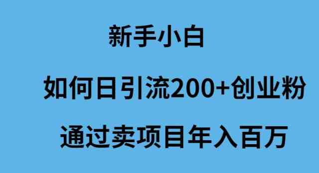 （9668期）新手小白如何日引流200+创业粉通过卖项目年入百万-星辰源码网