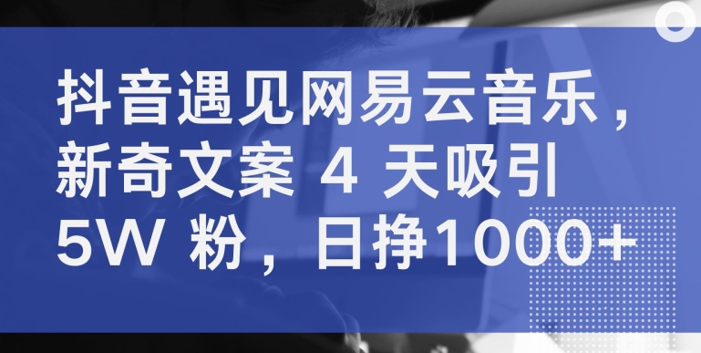 抖音遇见网易云音乐，新奇文案 4 天吸引 5W 粉，日挣1000+-星辰源码网