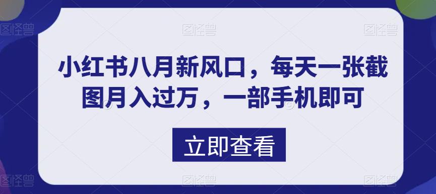 八月新风口，小红书虚拟项目一天收入1000+，实战揭秘-星辰源码网